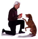Man with a dog
