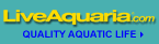 Quality Aquatic Life Delivered Direct to Your Door